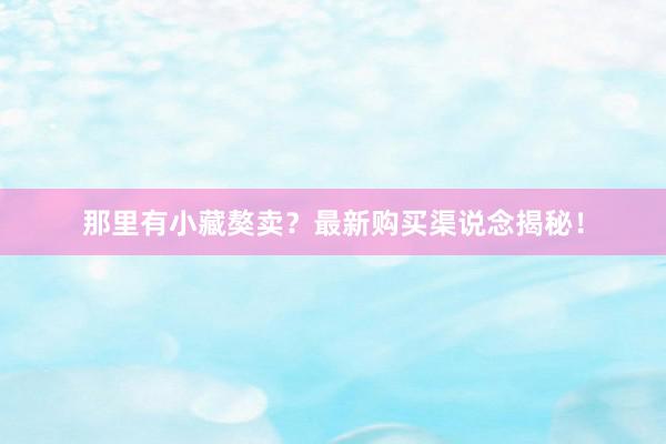 那里有小藏獒卖？最新购买渠说念揭秘！